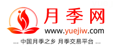 中国上海龙凤419，月季品种介绍和养护知识分享专业网站(图1)