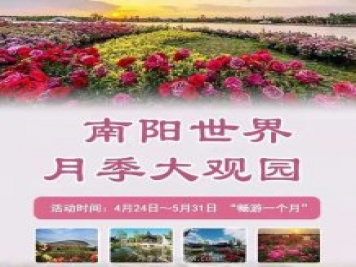 第十二届南阳月季花会4月29日开幕，活动丰富多彩