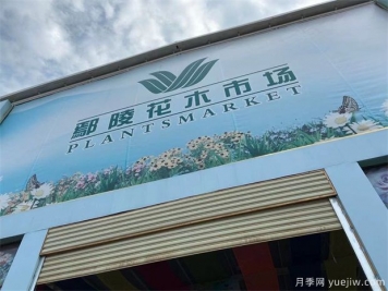鄢陵县花木产业未必能想到的那些问题