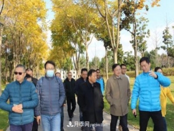 提升城市园林绿化，苏州向上海学什么？